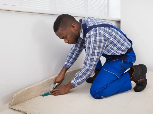 Carpet flooring cleaning | Taylor Floor Covering