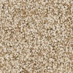 carpet | Taylor Floor Covering